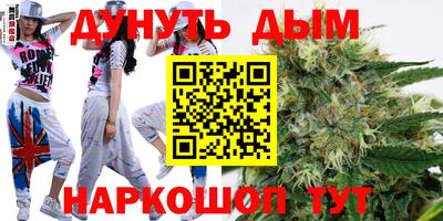Альфа ПВП Бийск