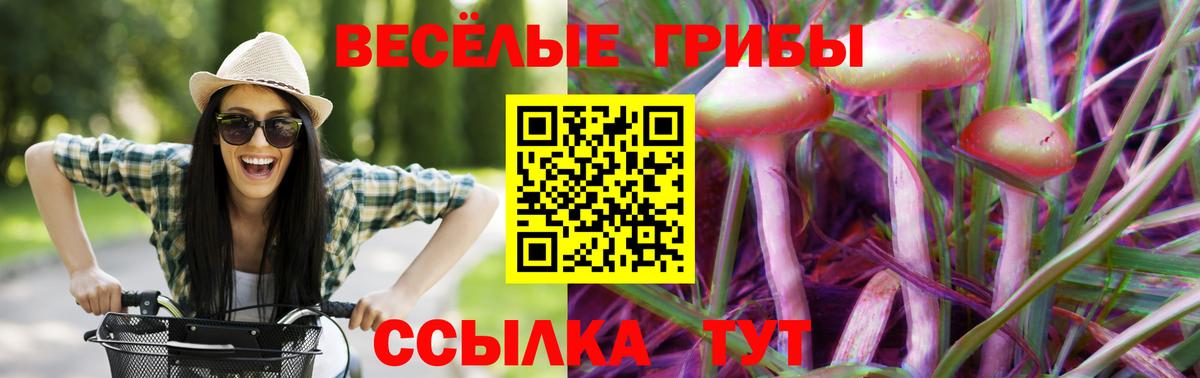 Псилоцибиновые грибы Magic Shrooms Камень-на-Оби