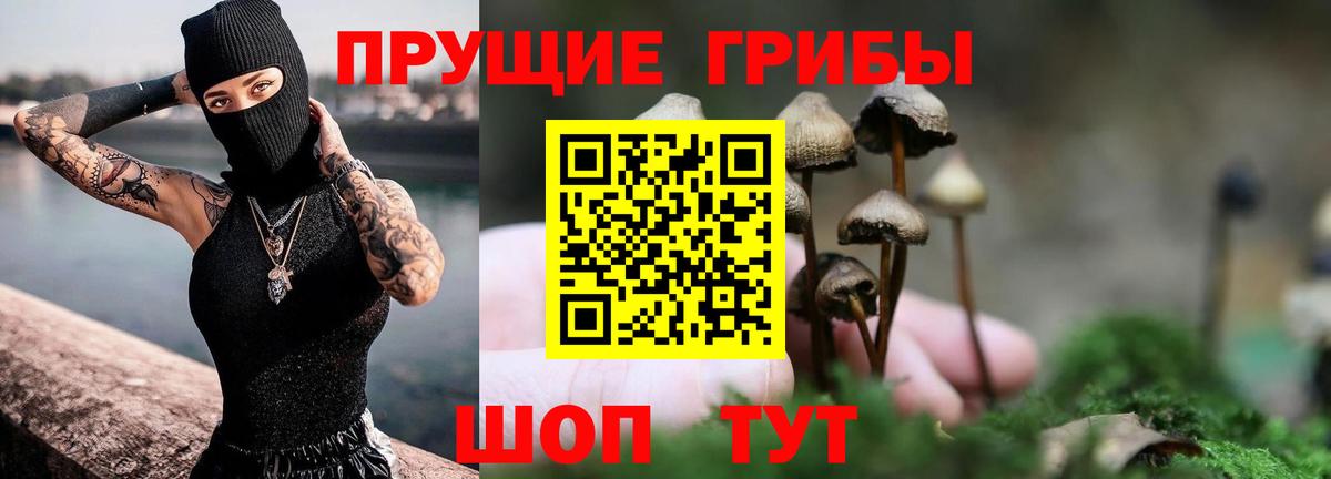 Псилоцибиновые грибы GOLDEN TEACHER  Вход с VPN  Камень-на-Оби 